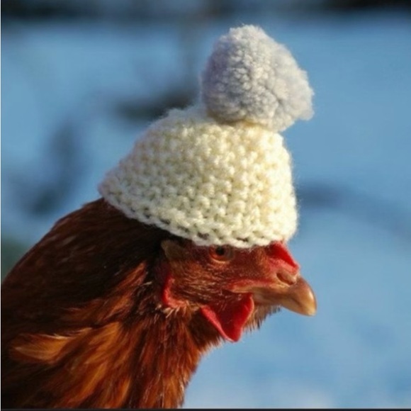 ♥️ To Bookmark Closet - Picture 13 of 15